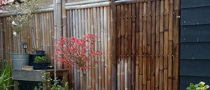 bambus schutz