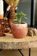 36219 Aromabowl_sfeer3.jpg