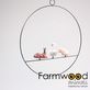 FW0524RING2.jpg