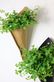 Paper bags Triangle Natural-Black with plants AP 2022.JPG