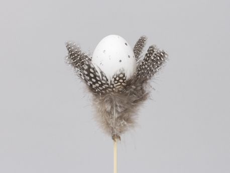 Ei met veren op een stokje 12 stuks - 40x5cm