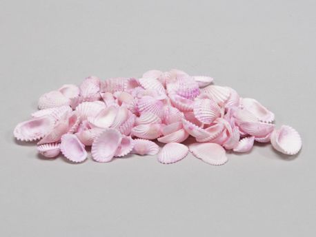Wit met roze mini schelpen 1 kg Wiljan!