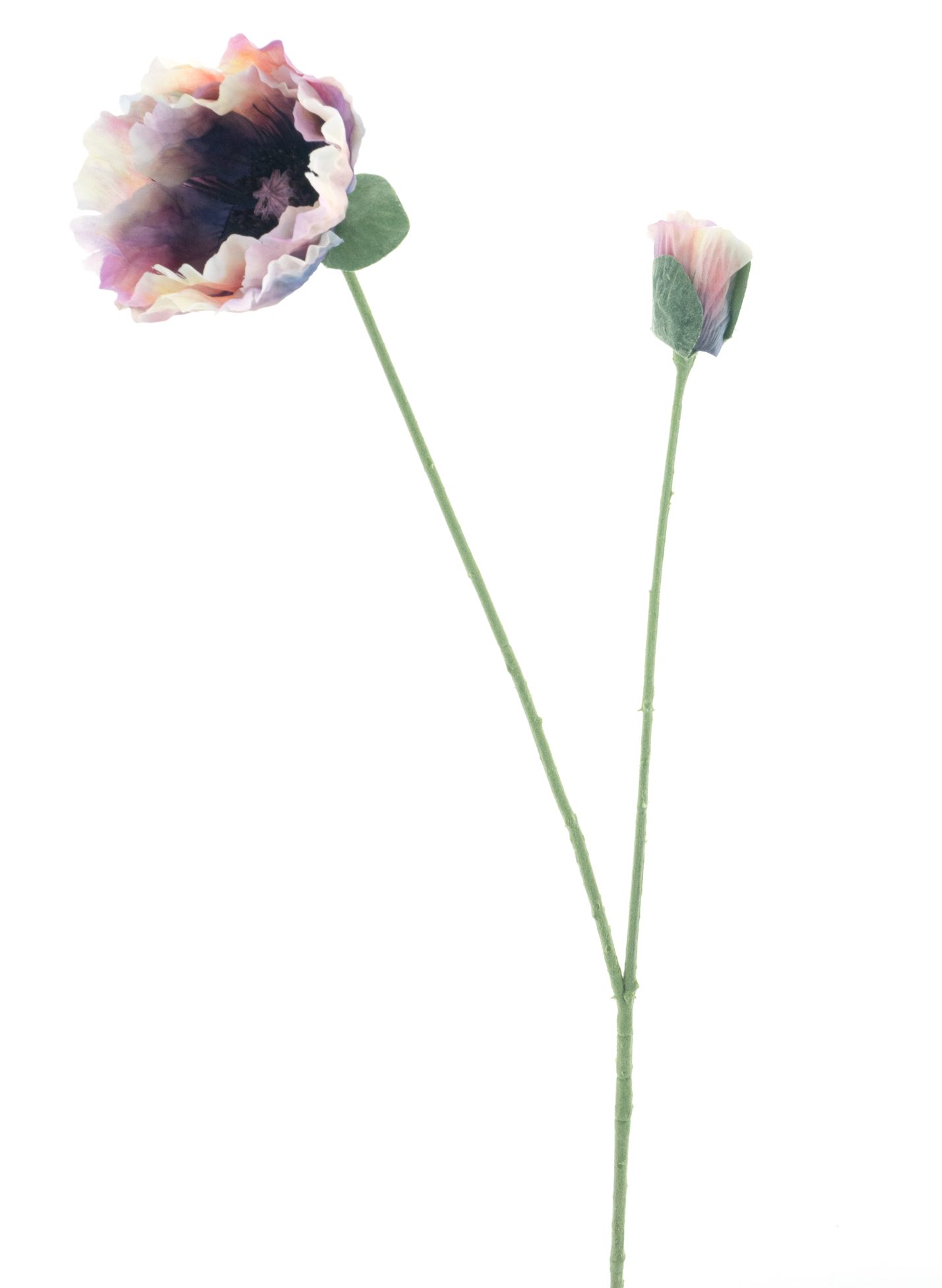 13588-6.png