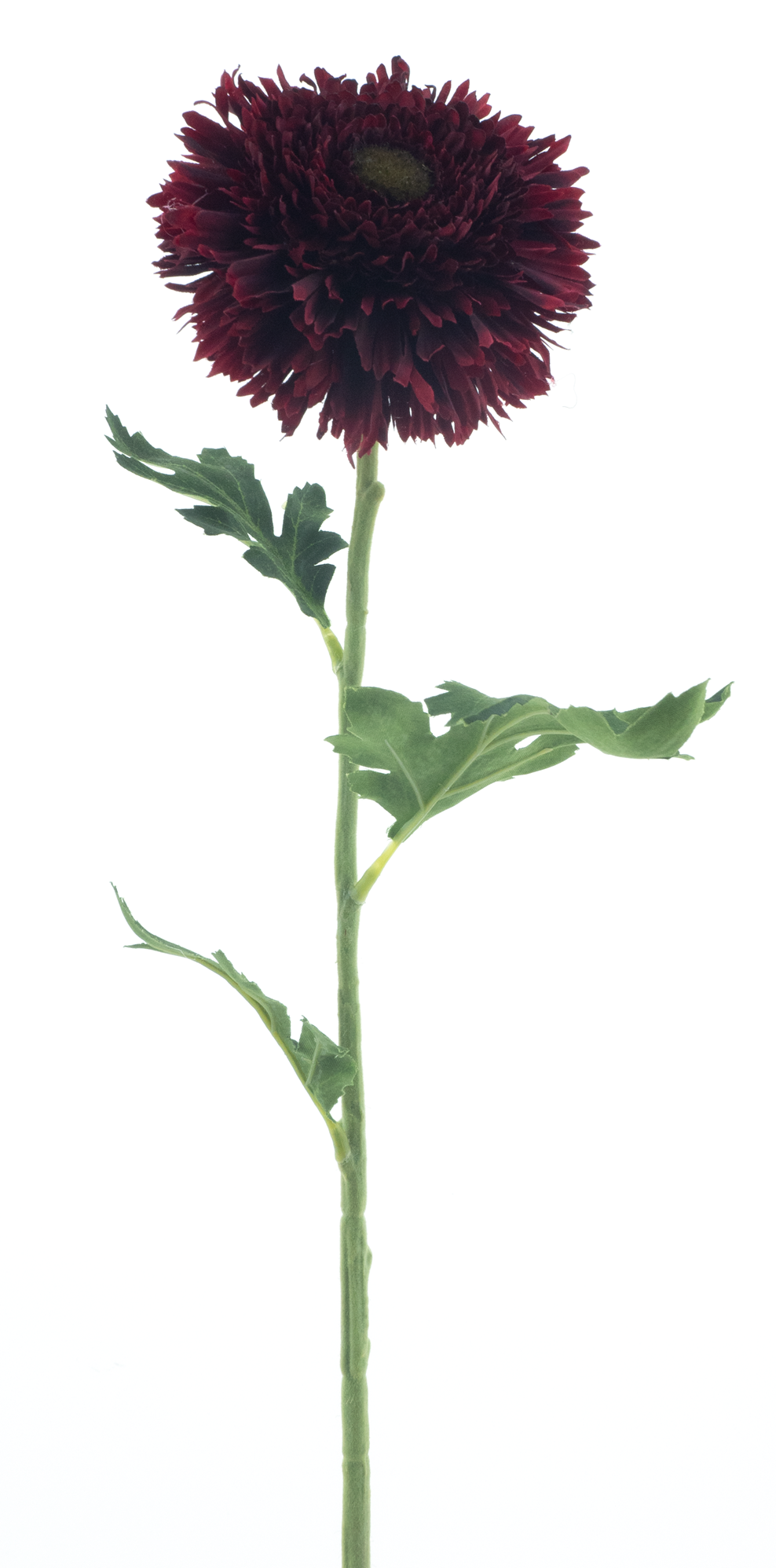 13606-3.png
