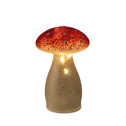229501.png
