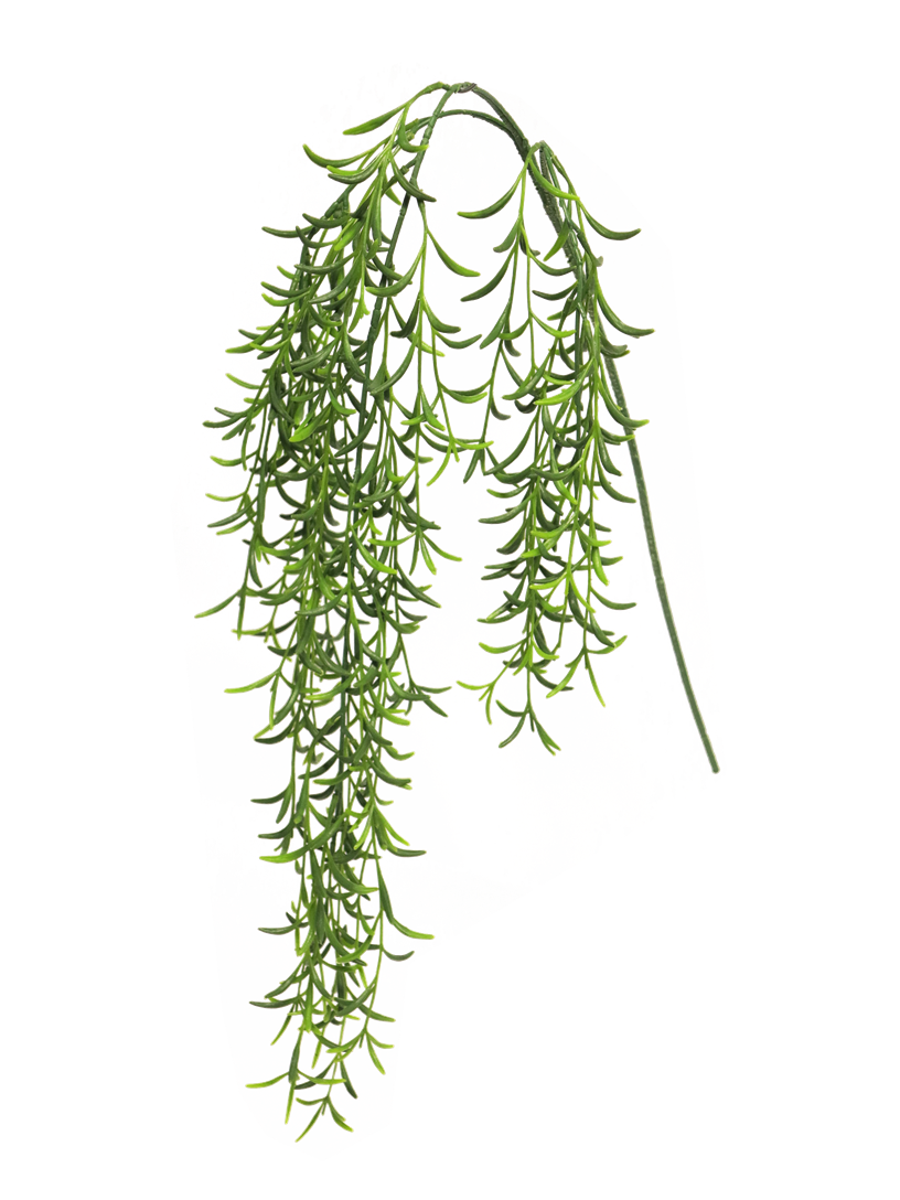 31058-1.png
