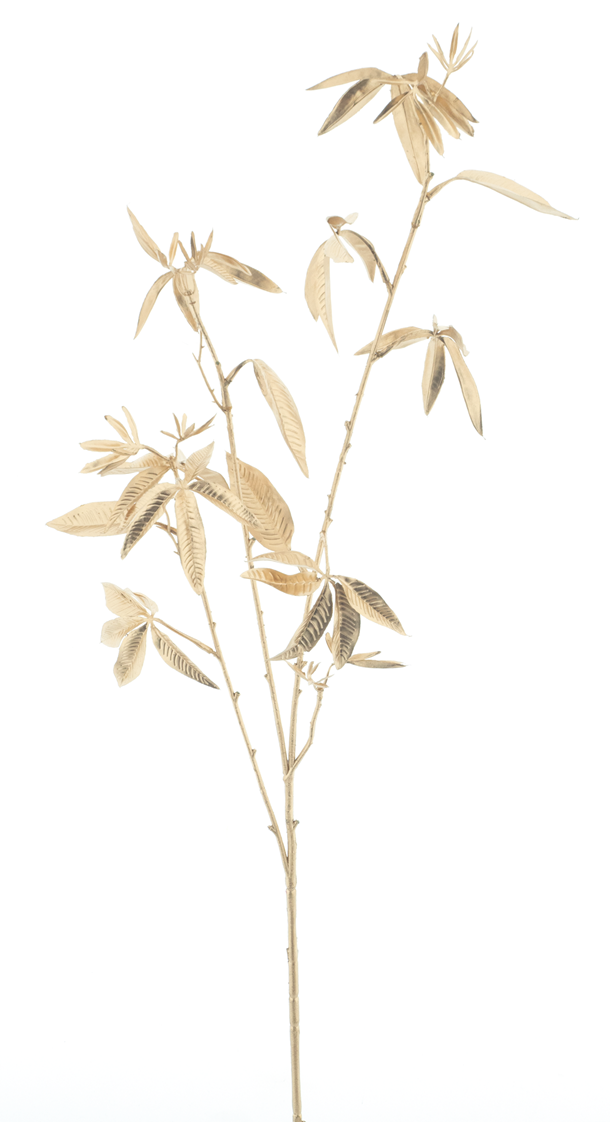 72032-8.png