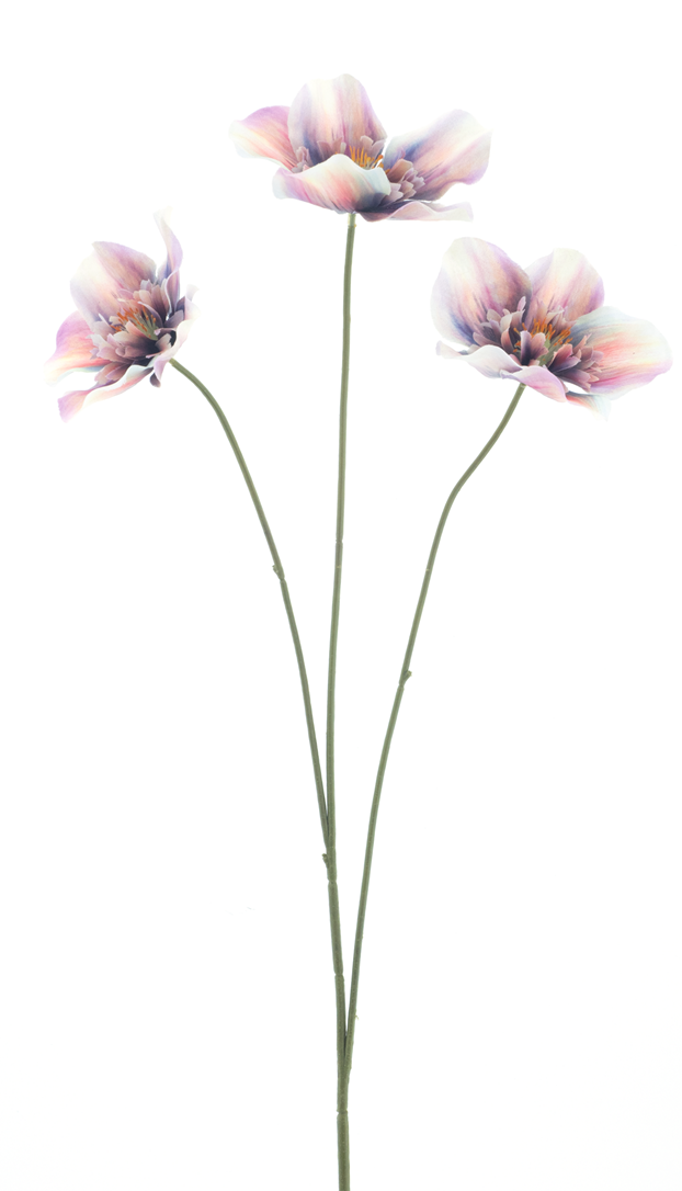 72077-6.png