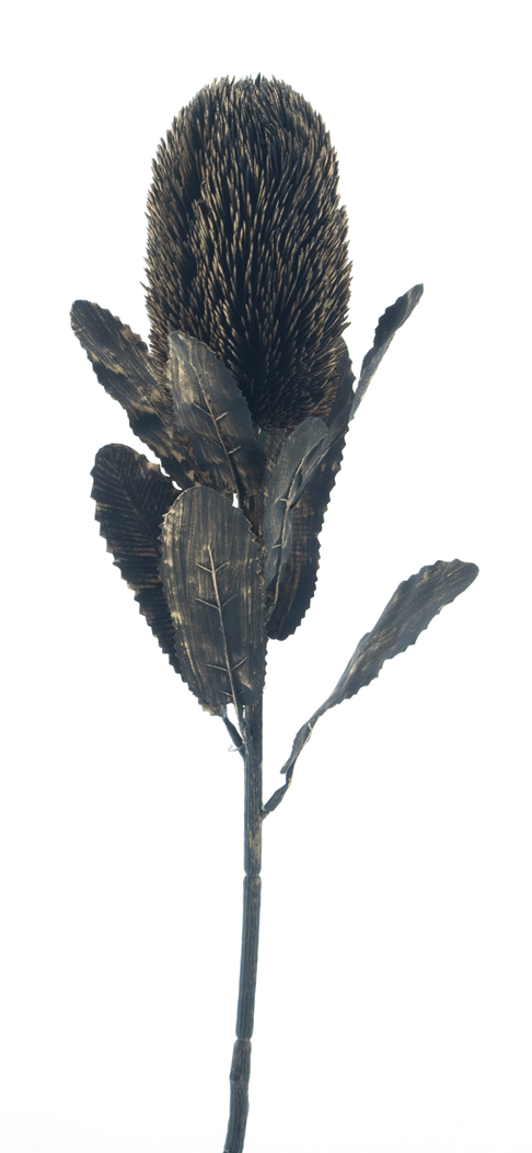 72092-8.png
