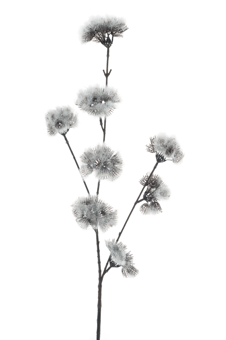 72103-0.png