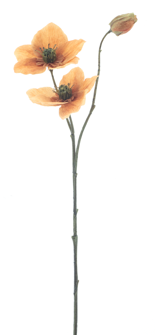 72322-5.png