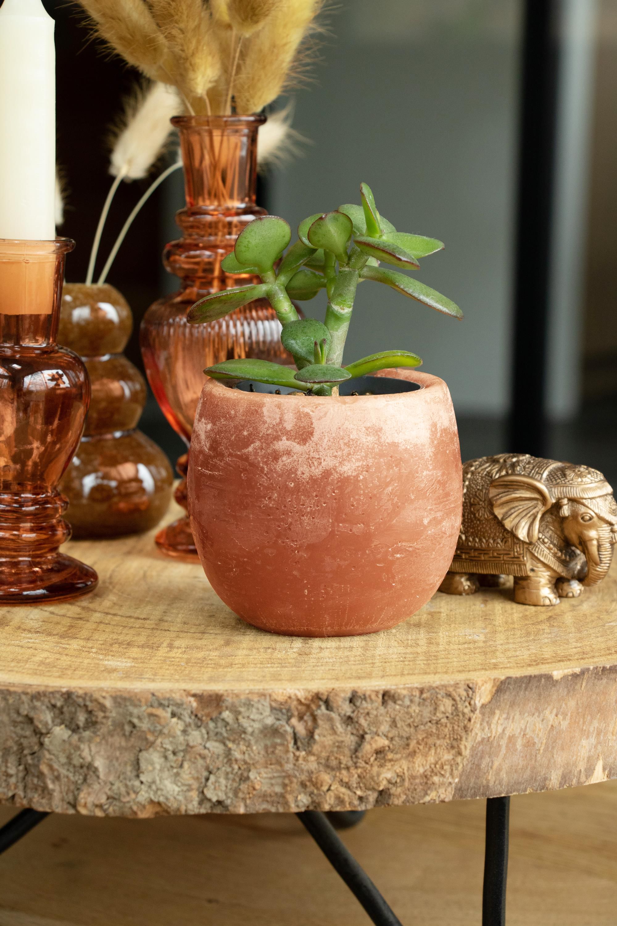 36219 Aromabowl_sfeer3.jpg