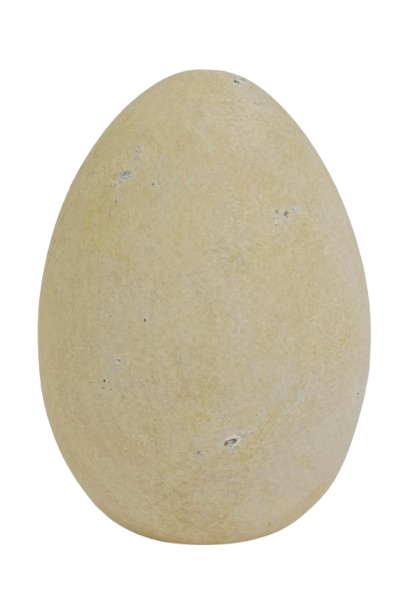 767313.png