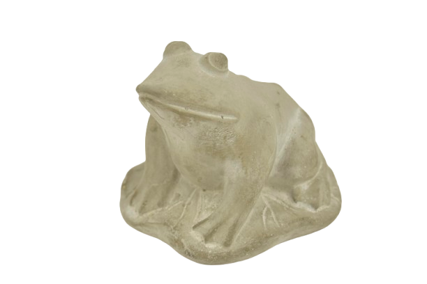 9820406.png