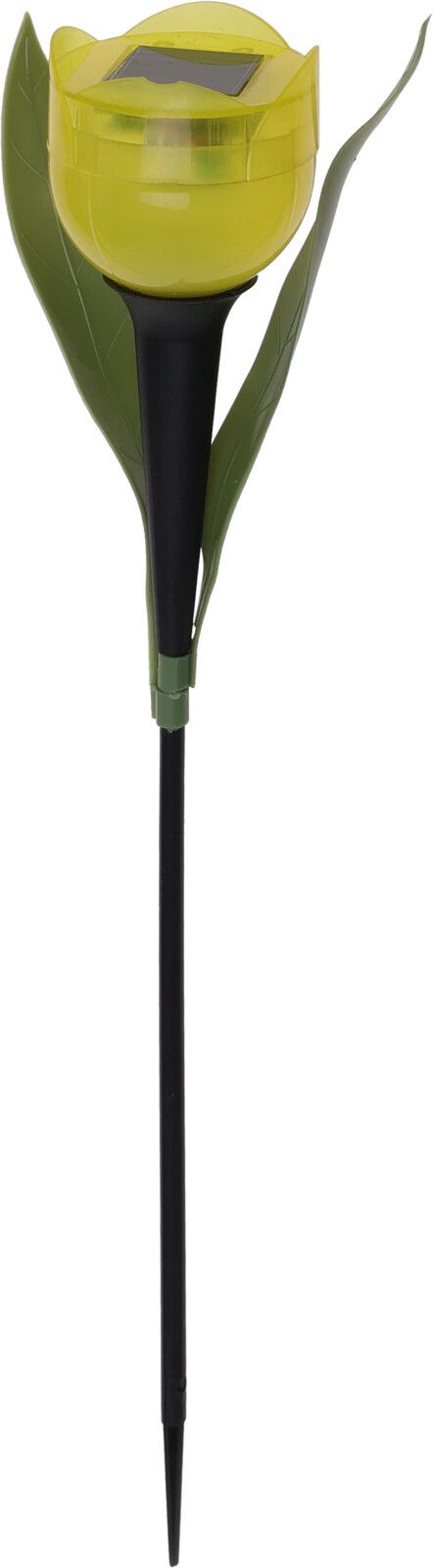 DX9300800-2_1.jpg