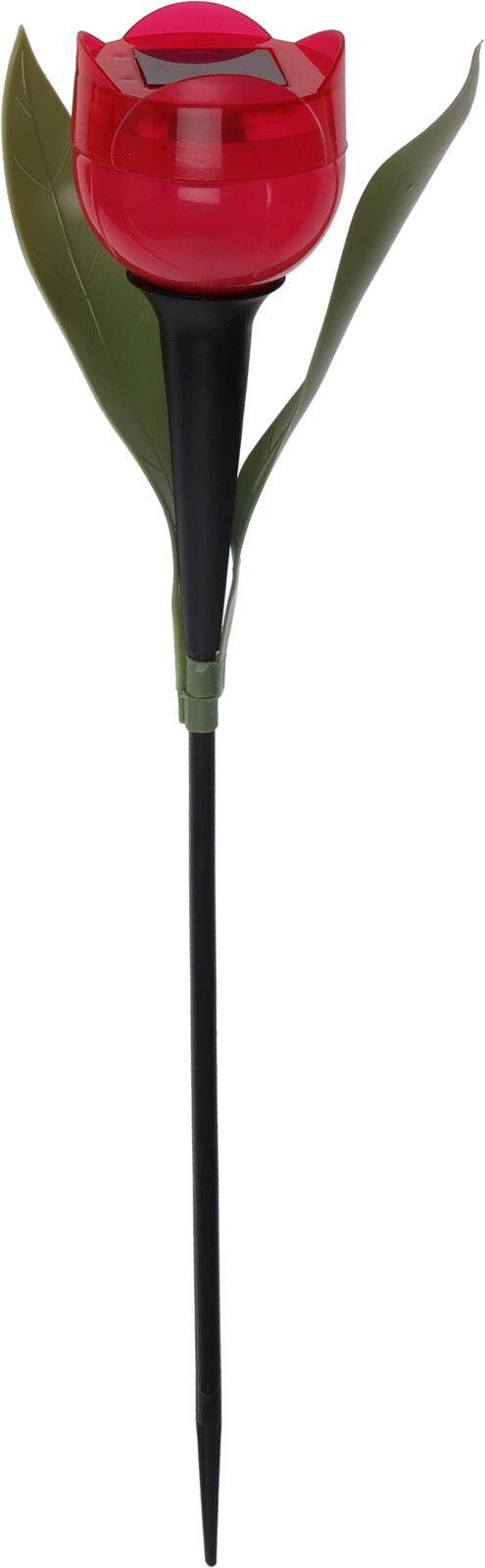 DX9300800-4_1.jpg