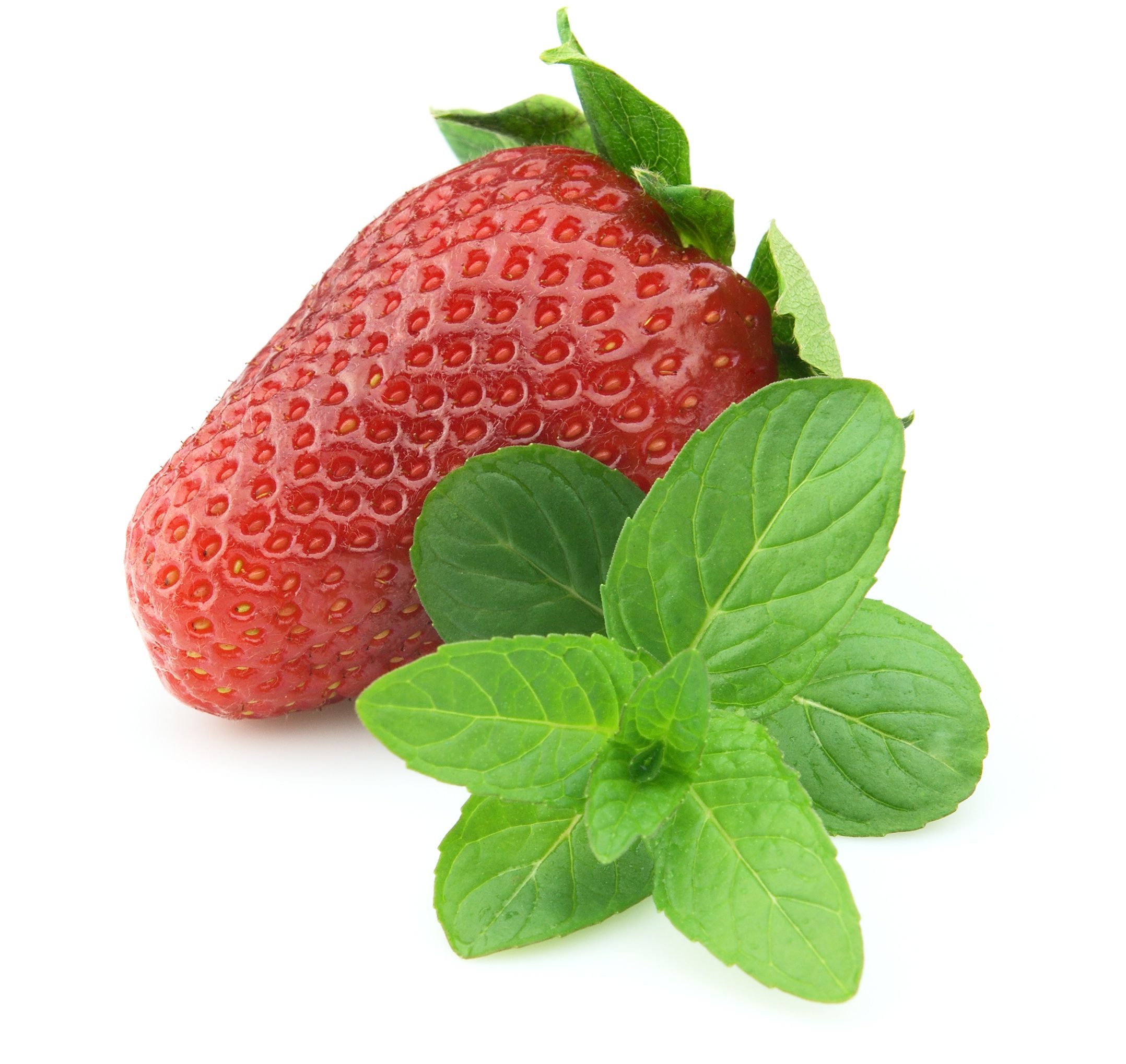 Erdbeerminze - Mentha Arvensis 'Strawberry'(Erdbeere) 