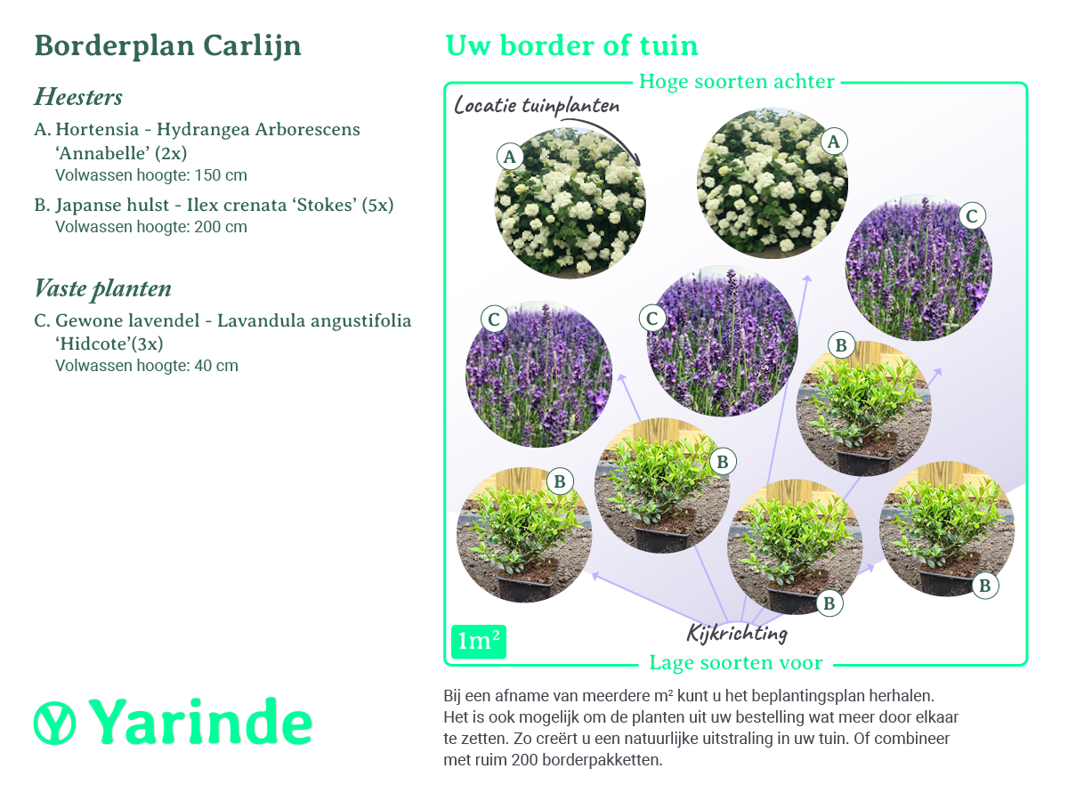 Bepflanzungsplan Carlijn