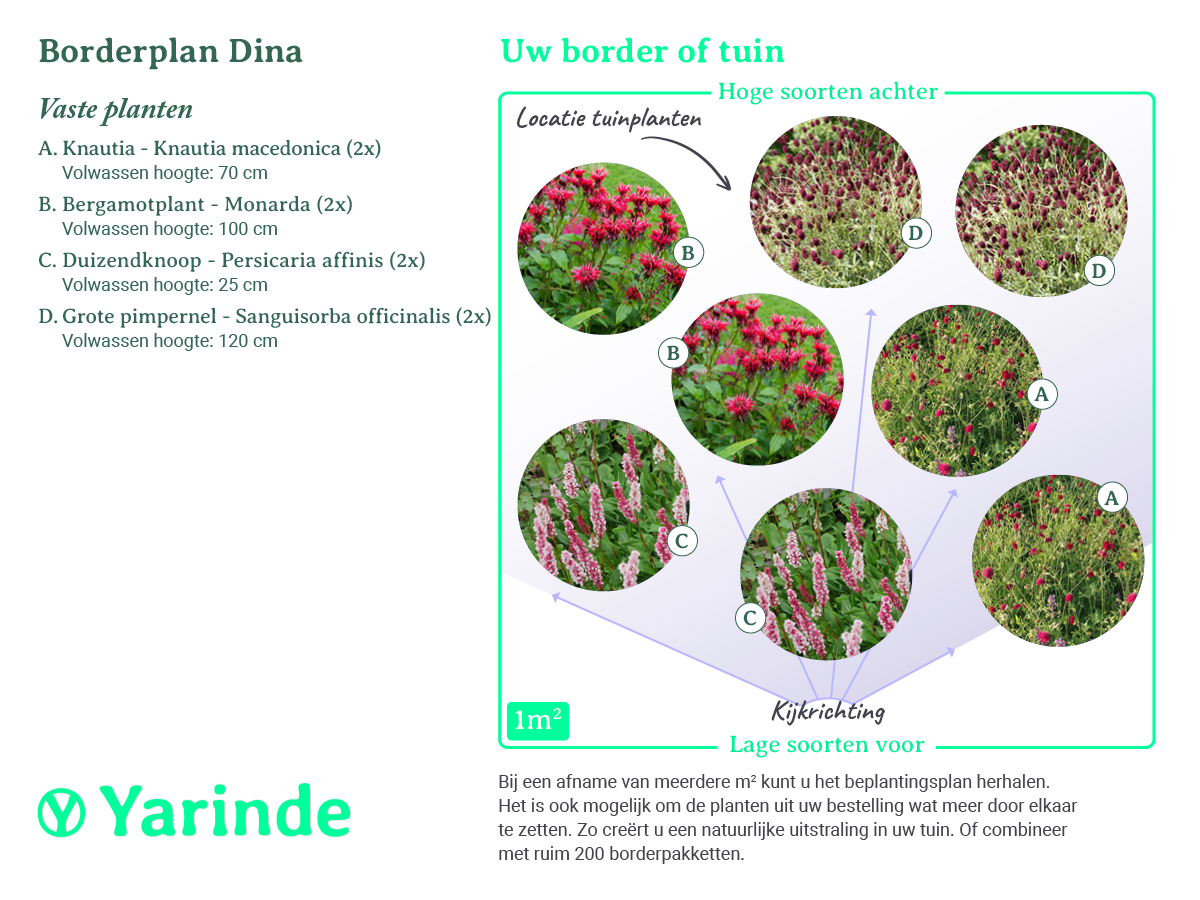 Beplantingsplan borderpakket Dina