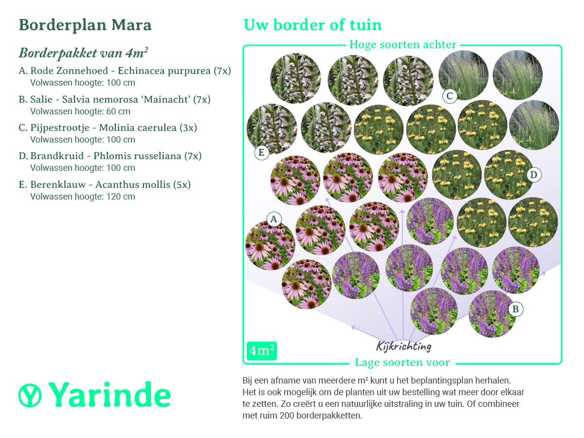 Beplantingsplan Mara