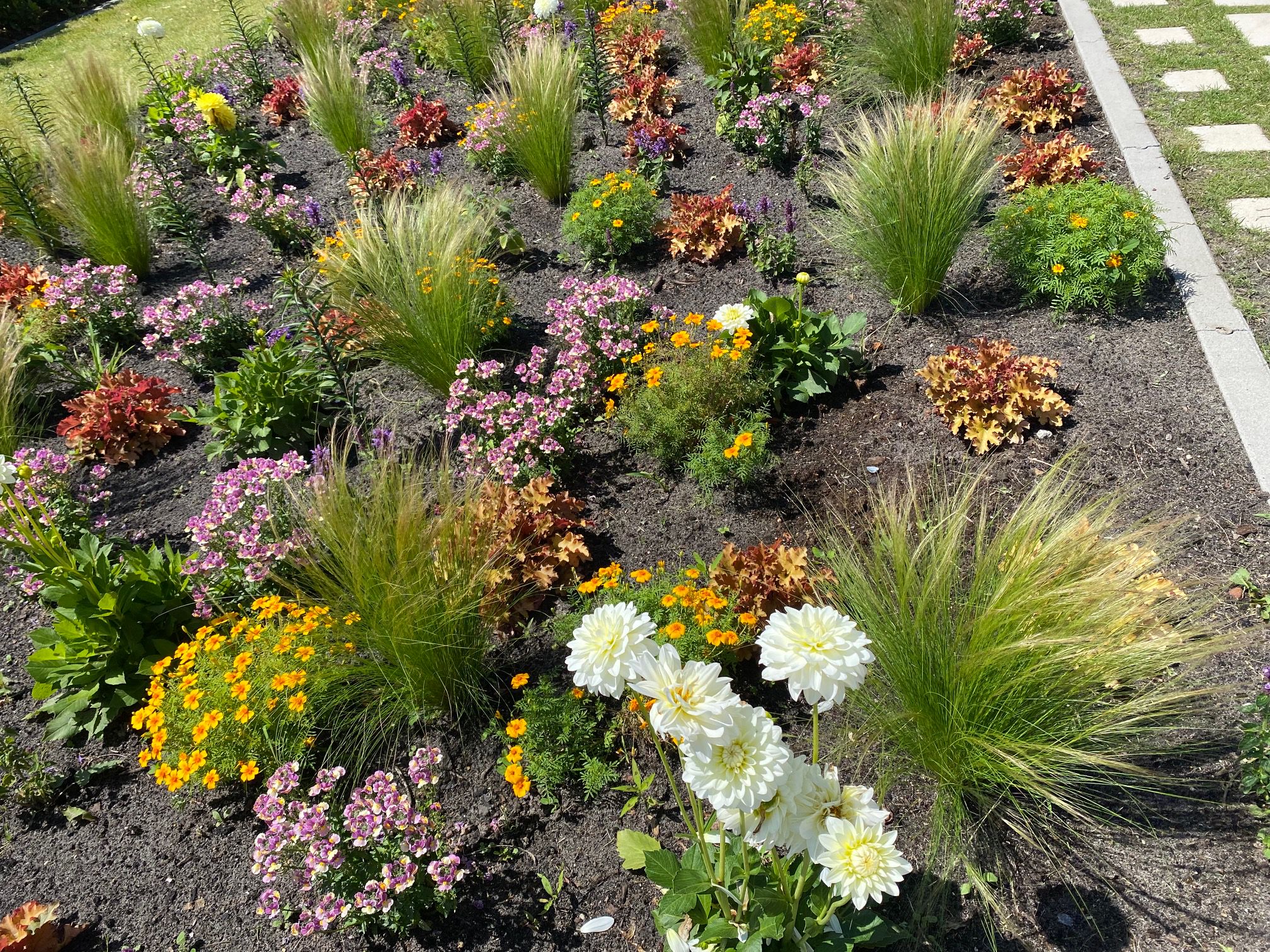Federgras kombiniert mit blühenden Gartenpflanzen