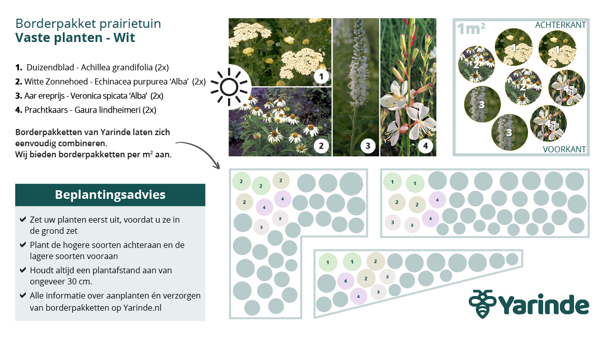 Borderpakket Vaste planten wit Prairieplanten basis