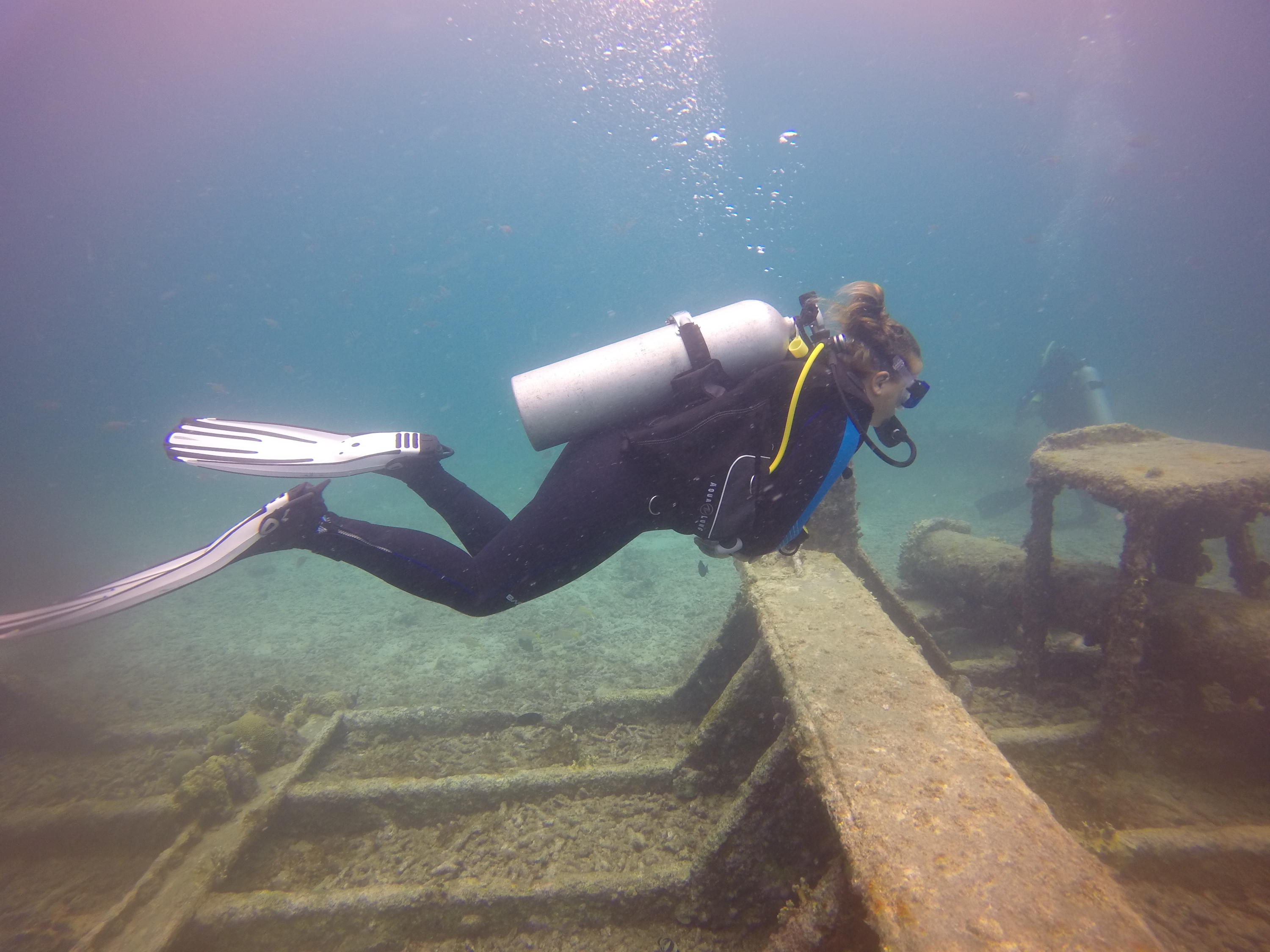 Diving School Aruba (PADI)