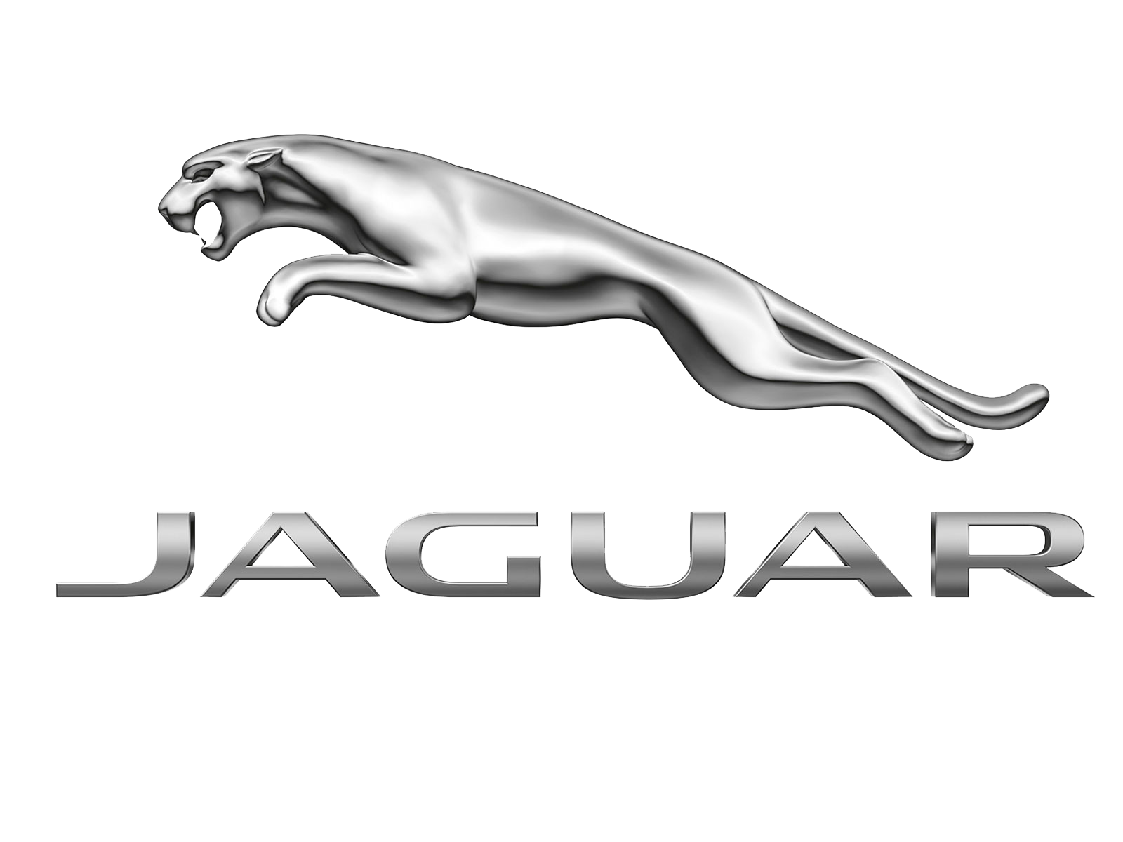 Car Bags Jaguar