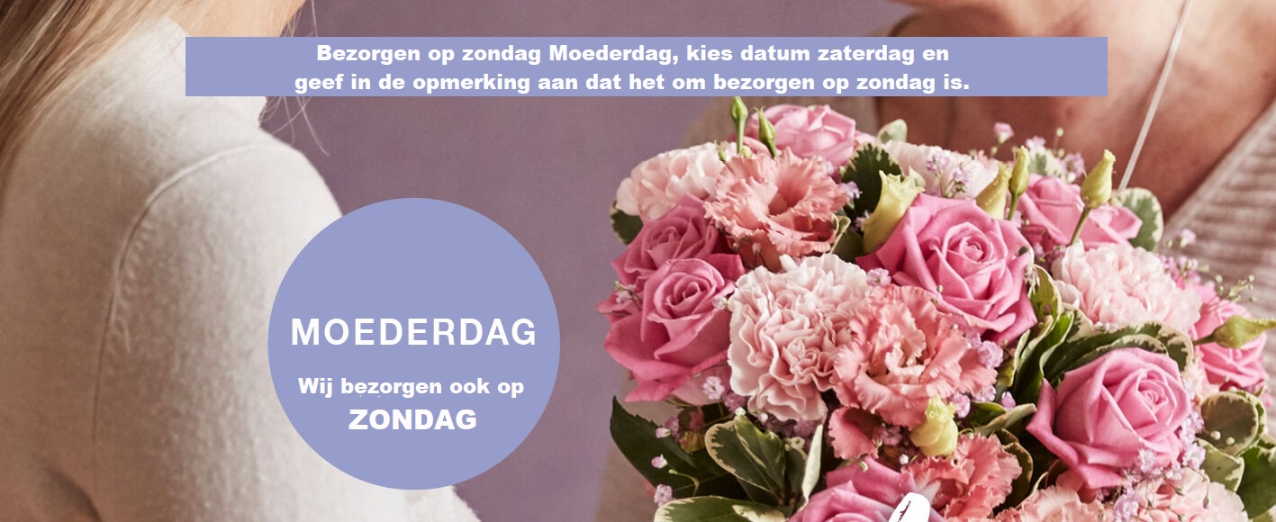 Bloemen bezorgen Groningen voor 12u vandaag! Bloemist