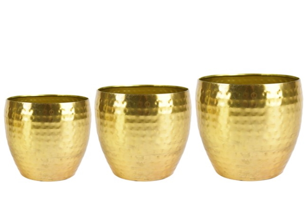 Gouden bloempotten zijn verkrijgbaar in een glad design, maar ook met reliëf en patronen Gouden bloempotten zijn verkrijgbaar in een glad design, maar ook met reliëf en patronen