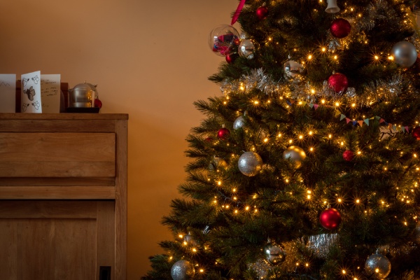 Uw kerstboomverlichting warm wit zorgt voor een mooi plaatje!