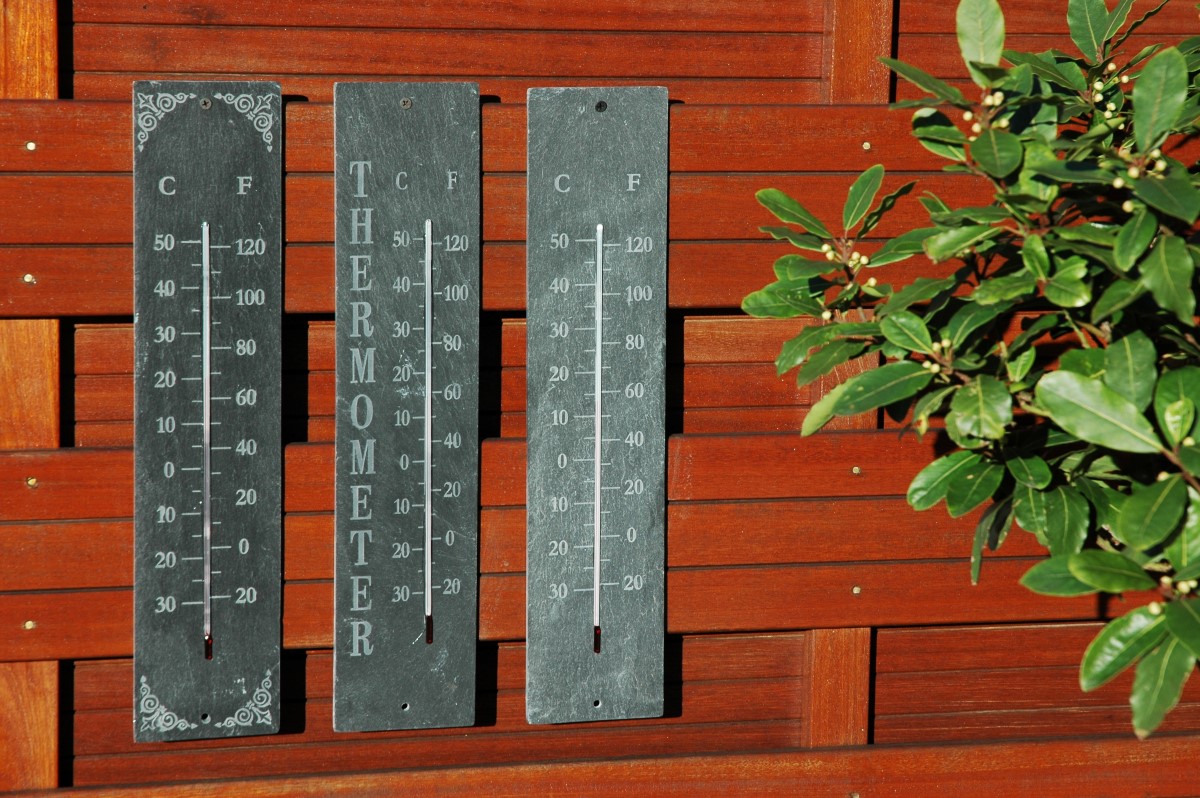 Afbreken tweeling Onvermijdelijk Esschert Thermometer Kopen? Thermometers Nu Bij Haxo.nl!