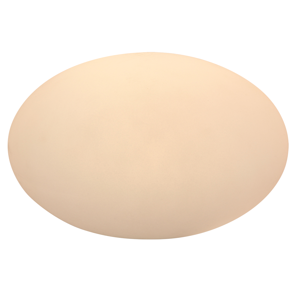 Oval-28-2566451.png