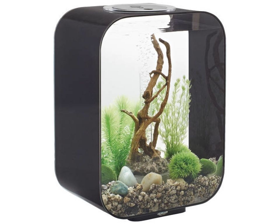 gesponsord voor eeuwig begrijpen Aquarium biOrb life MCR 15 liter zwart? |Koop nu bij Haxo!