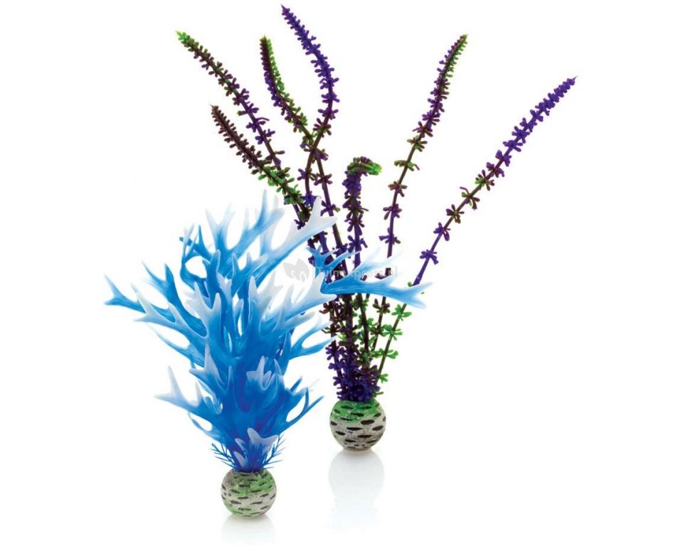 biorb-aquarium-plantenset-medium-blauw-en-paars-46059-0_827x958.jpg