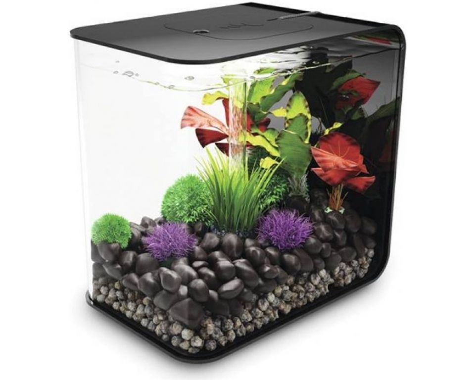toxiciteit Garderobe Quagga Aquarium biOrb flow MCR 30 liter zwart? | Koop nu bij Haxo!