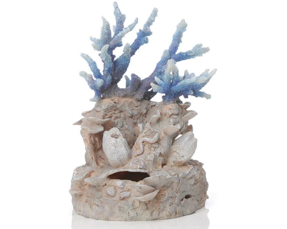 biorb-koraalrif-ornament-blauws.jpg