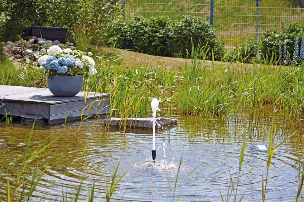 fontein-sproeikop-oase-schuimbron-22-5-k-voorbeeld-2.jpg