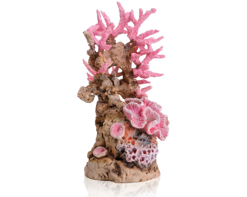 sirene Mechanica gek geworden biOrb koraalrif ornament roze? | Koop nu bij Haxo!