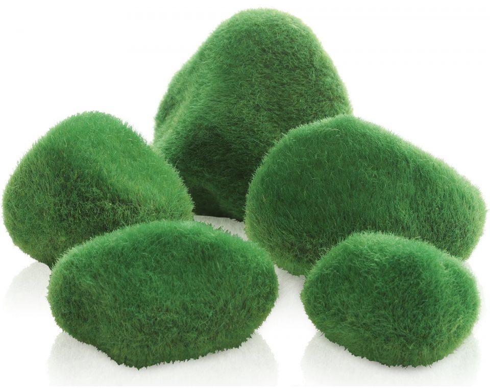 oase-biorb-pebble-set-overgrown-moss-1-set-54884-en.jpg