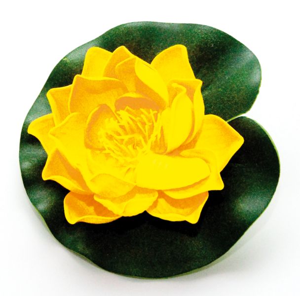 Velda Drijvende Vijverplant Lotus Geel 10 cm