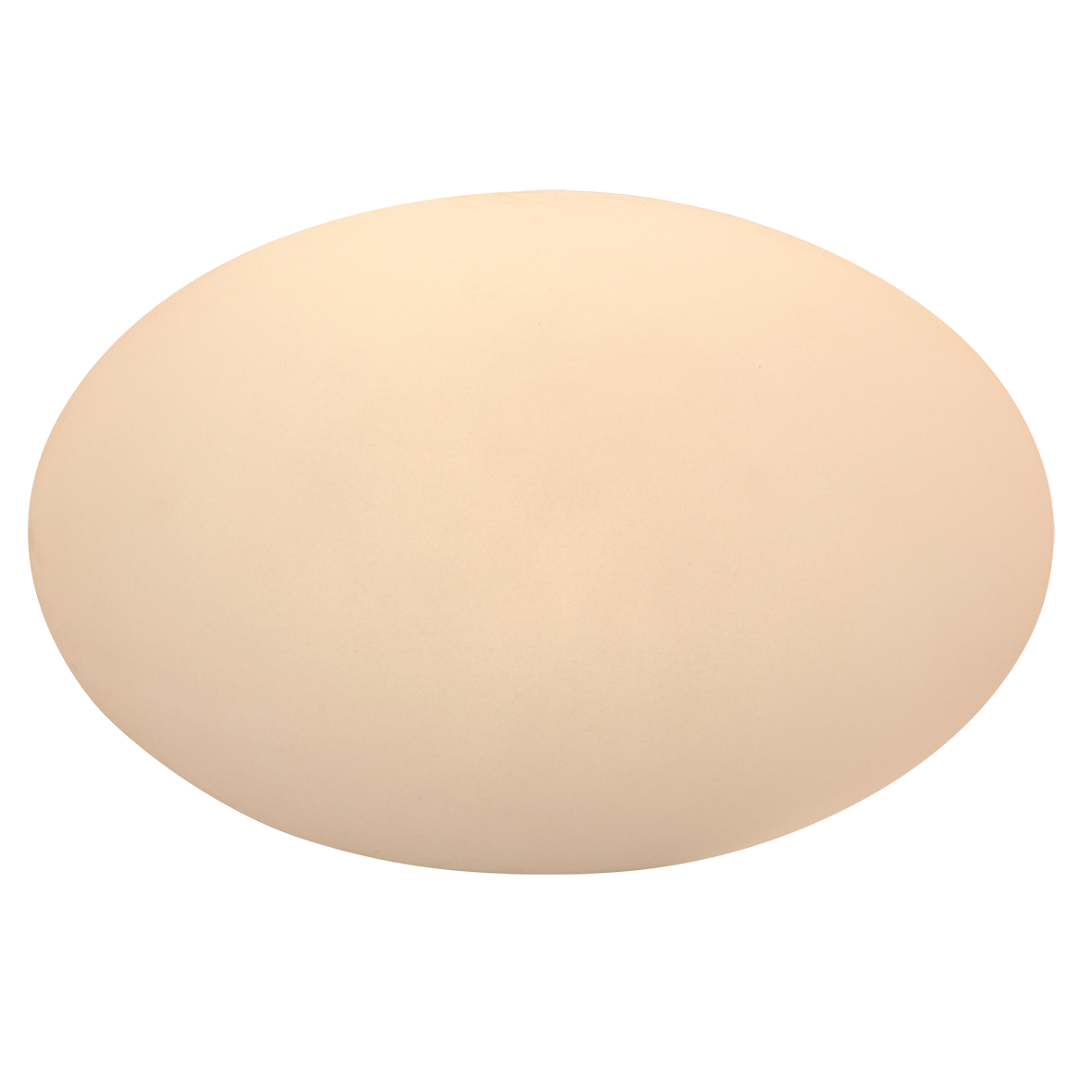 Oval 28 2566451.png