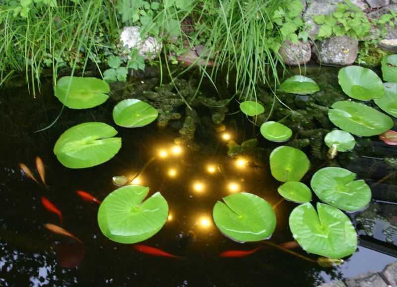 Velda Vijververlichting Welking Pond Light Dag