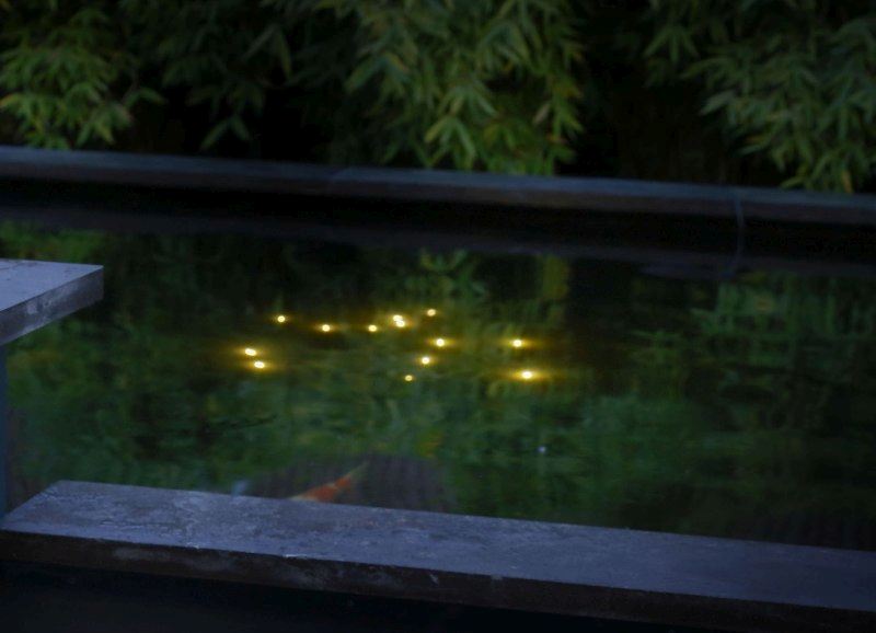 Velda Vijververlichting Welking Pond Light Nacht