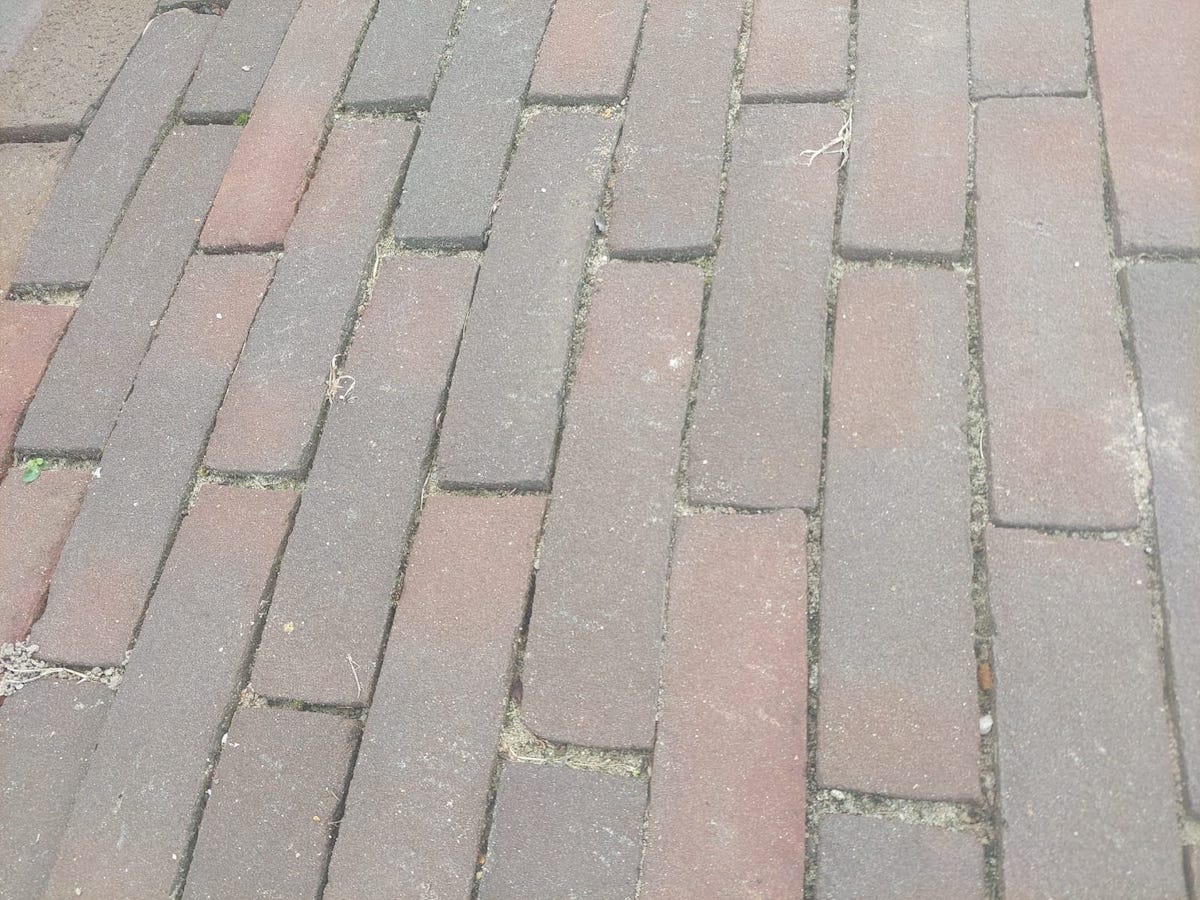 nieuwe waaltjes1.jpeg