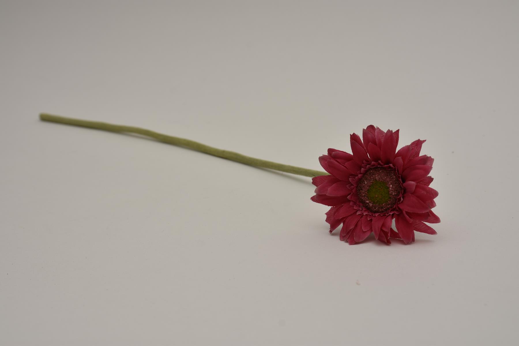 11808-8.jpg