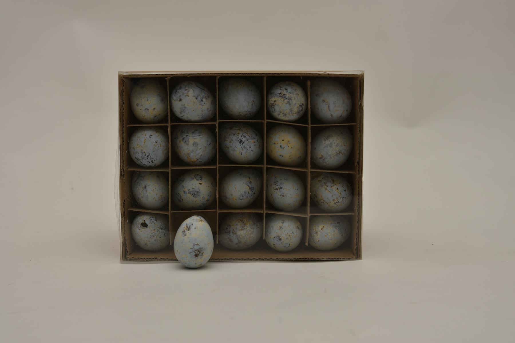 2015021.jpg