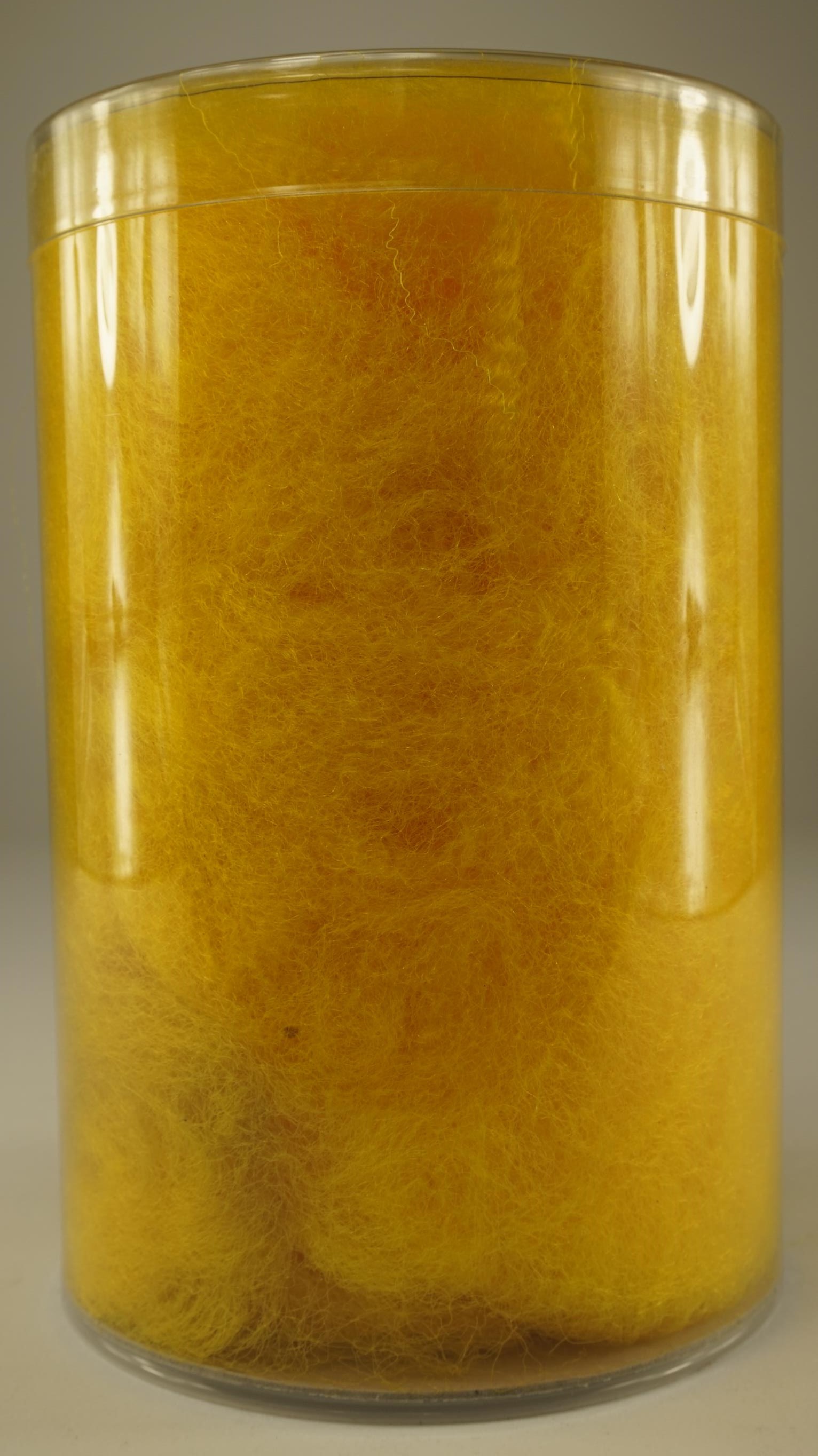 7015022.jpg
