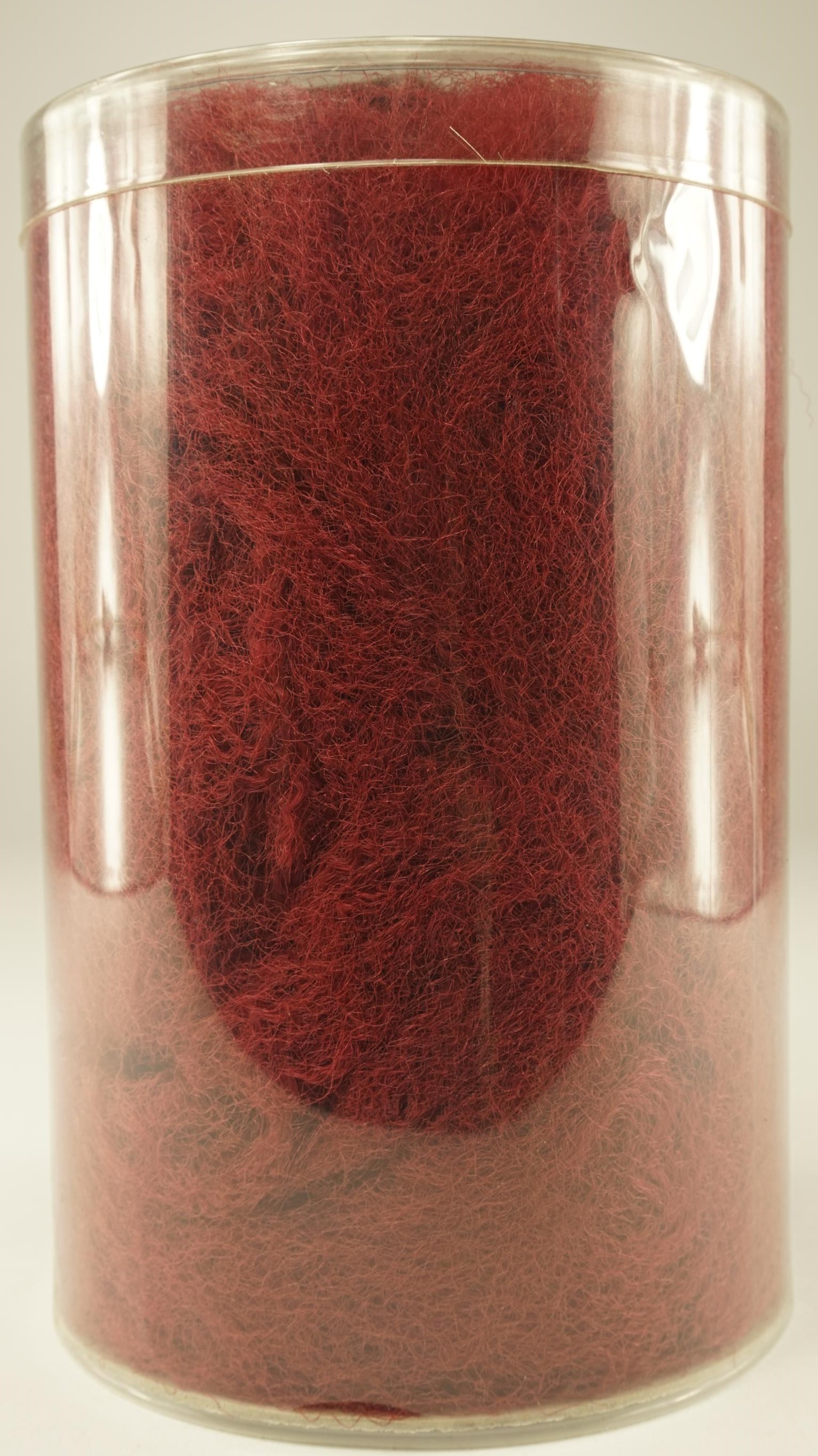 7015411.jpg