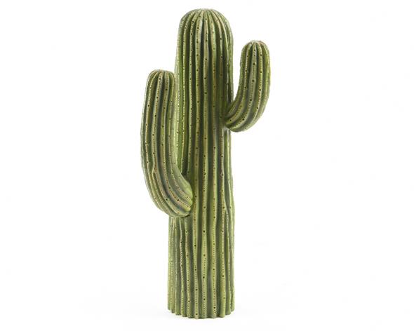 Cactus decoratie